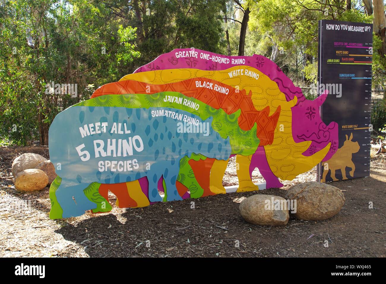 Rhino Tabella dimensioni al Taronga Western Plains Zoo Foto Stock