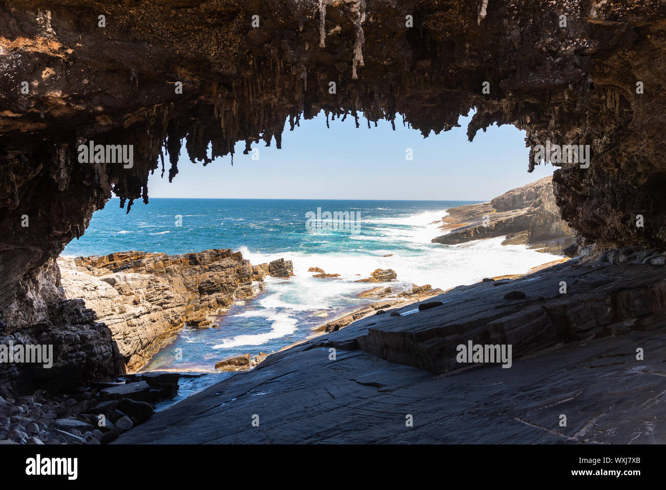 Admirals Arch, Parco Nazionale di Flinders Chase, Kangaroo Island, South Australia, Australia Foto Stock