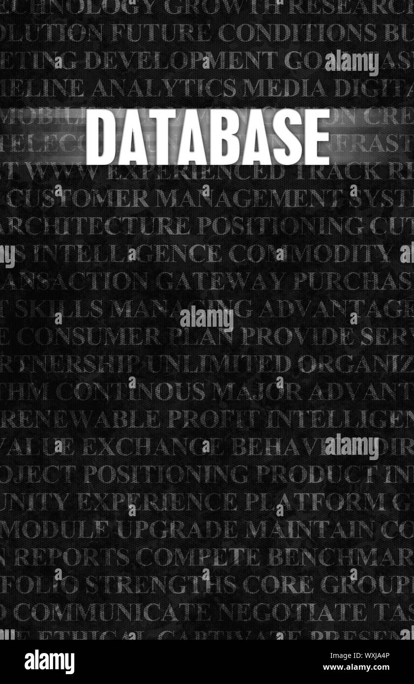 Database nel Business come motivazione nel muro di pietra Foto Stock