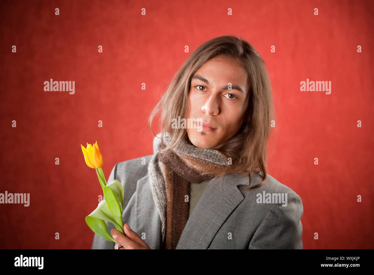 Tulipano messicano immagini e fotografie stock ad alta risoluzione - Alamy