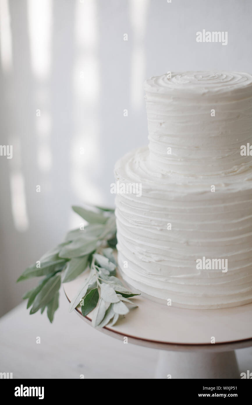 Semplice due tiered torta nuziale con glassa e olive branch decorazione Foto Stock