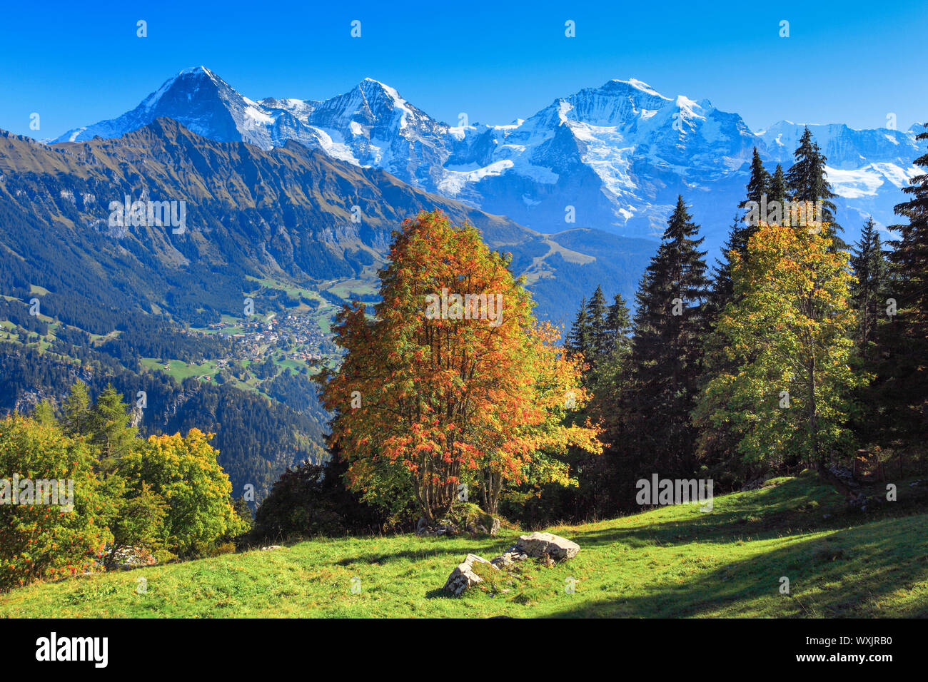 Le montagne Eiger (3967 m), Moench (4107 m) e Jungfrau (4158 m) Foto Stock