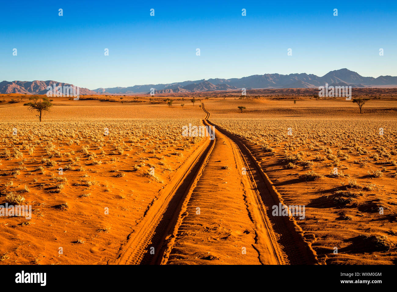 Sandtrack in Namibia deserto Foto Stock