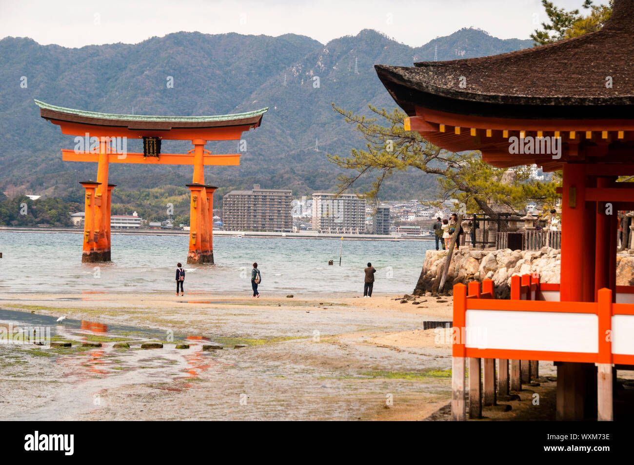 Il grande Torii sull'isola di Miyajima, Giappone. Foto Stock