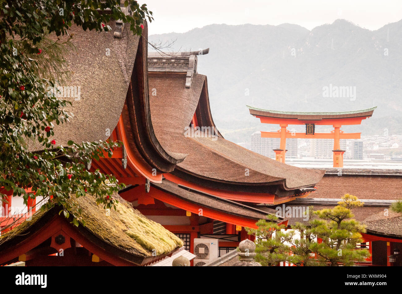 Il grande Torii sull'isola di Miyajima in Giappone è il confine tra lo spirito e il mondo umano. Foto Stock