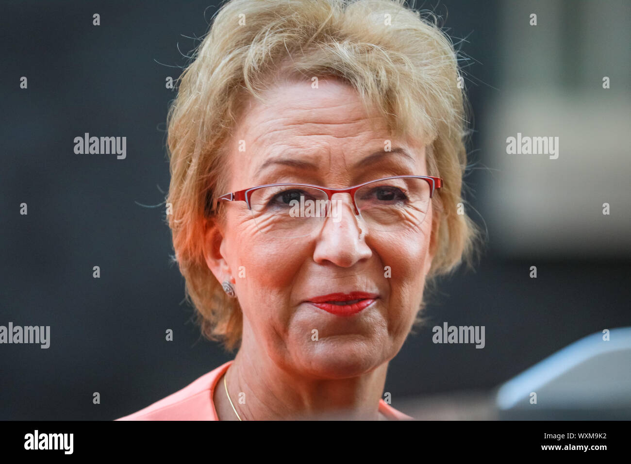 Westminster, Londra, Regno Unito. Xvii Sep, 2019. Andrea Leadsom, Segretario di Stato per gli affari, strategia energetica e industriale. I ministri di governo uscita n. 10 a seguito della riunione del gabinetto a Downing Street Credit: Imageplotter/Alamy Live News Foto Stock
