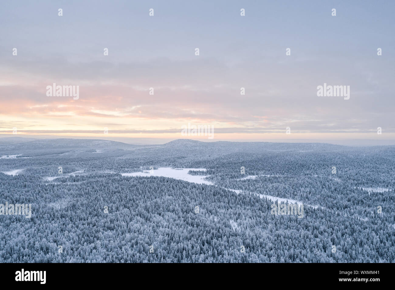 Vista aerea della taiga nella foresta nazionale di Pyhä-Luosto Park durante il tramonto in inverno. Foto Stock