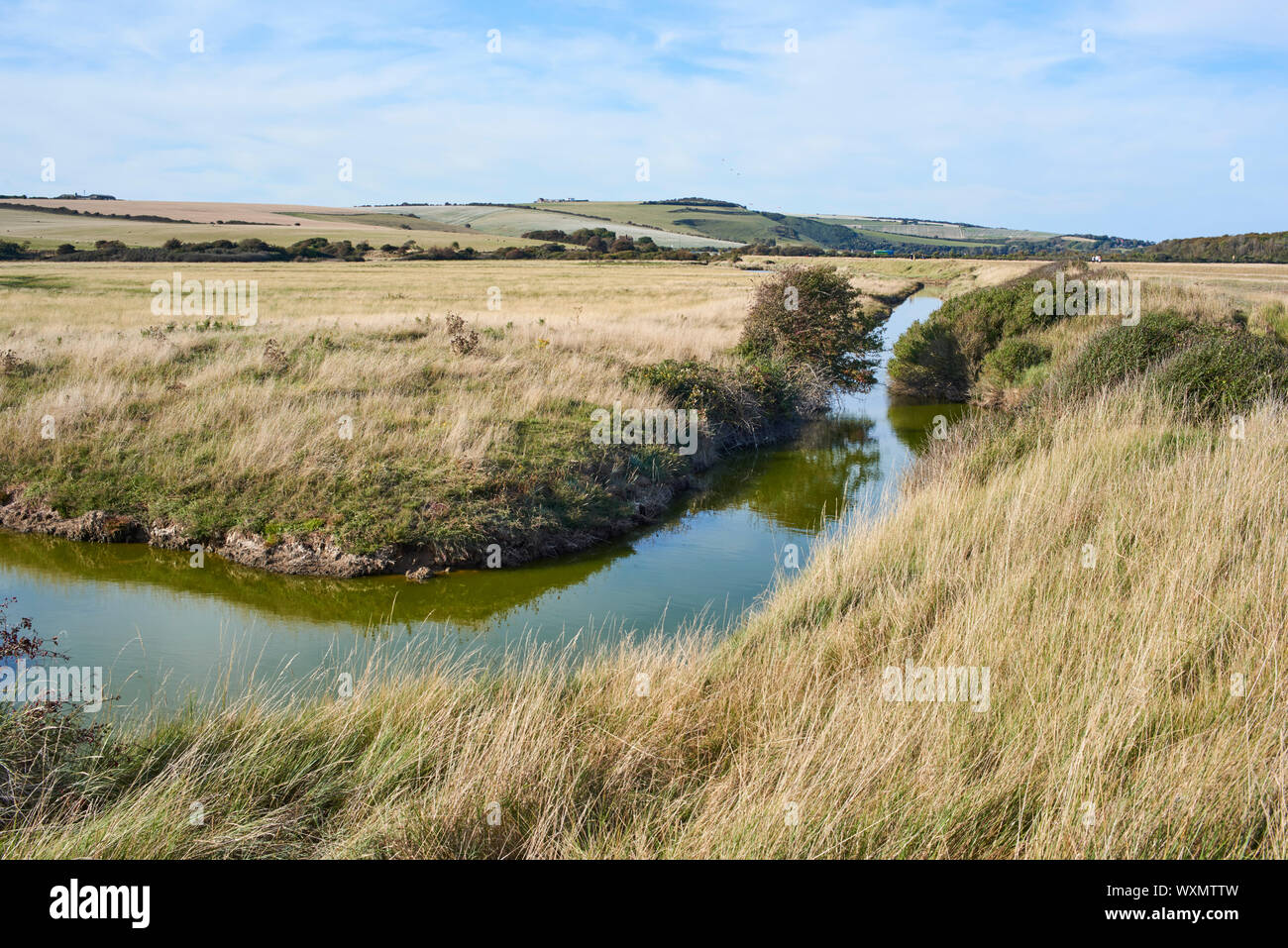 La Valle Cuckmere tra Eastbourne e Seaford, East Sussex, Regno Unito, un'area di eccezionale bellezza naturale nel sud-est dell' Inghilterra Foto Stock