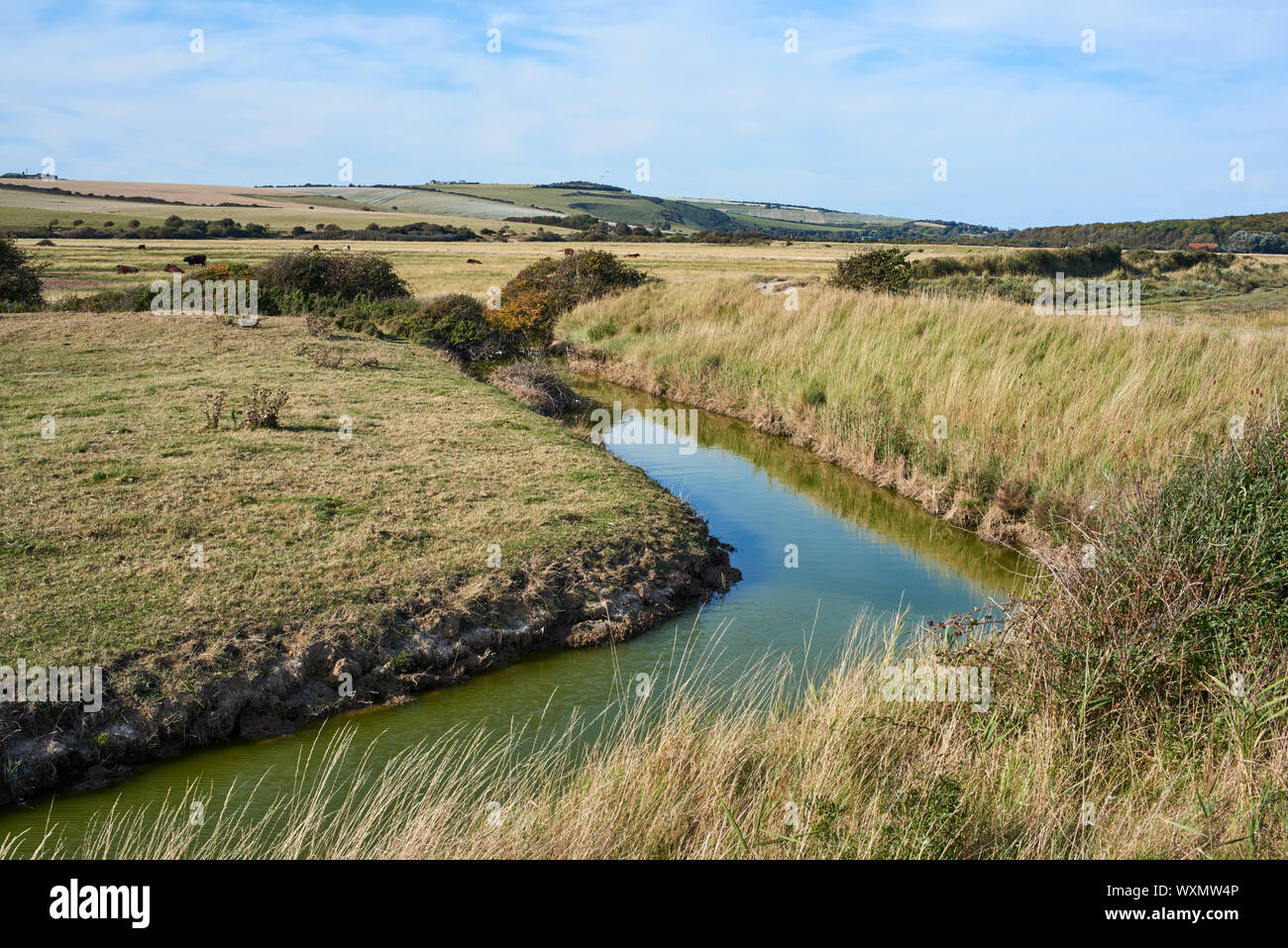 Flusso in Cuckmere Valley vicino a Eastbourne, East Sussex, Inghilterra meridionale, con il South Downs in background Foto Stock