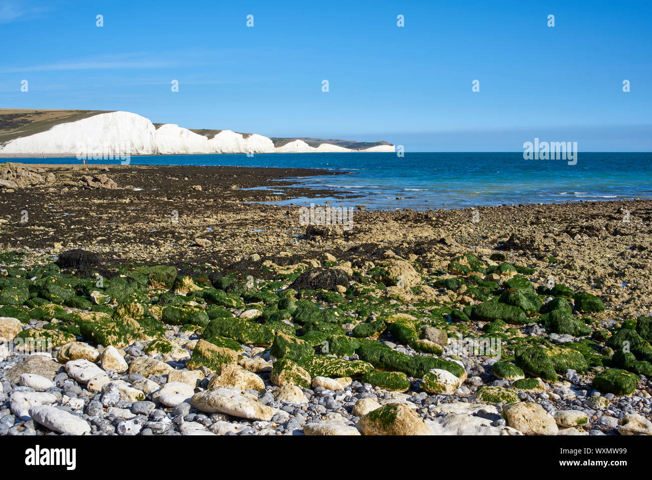 La riva del mare con la bassa marea vicino Cuckmere Haven, East Sussex, sulla costa sud dell'Inghilterra, guardando ad est verso le sette sorelle chalk cliffs Foto Stock