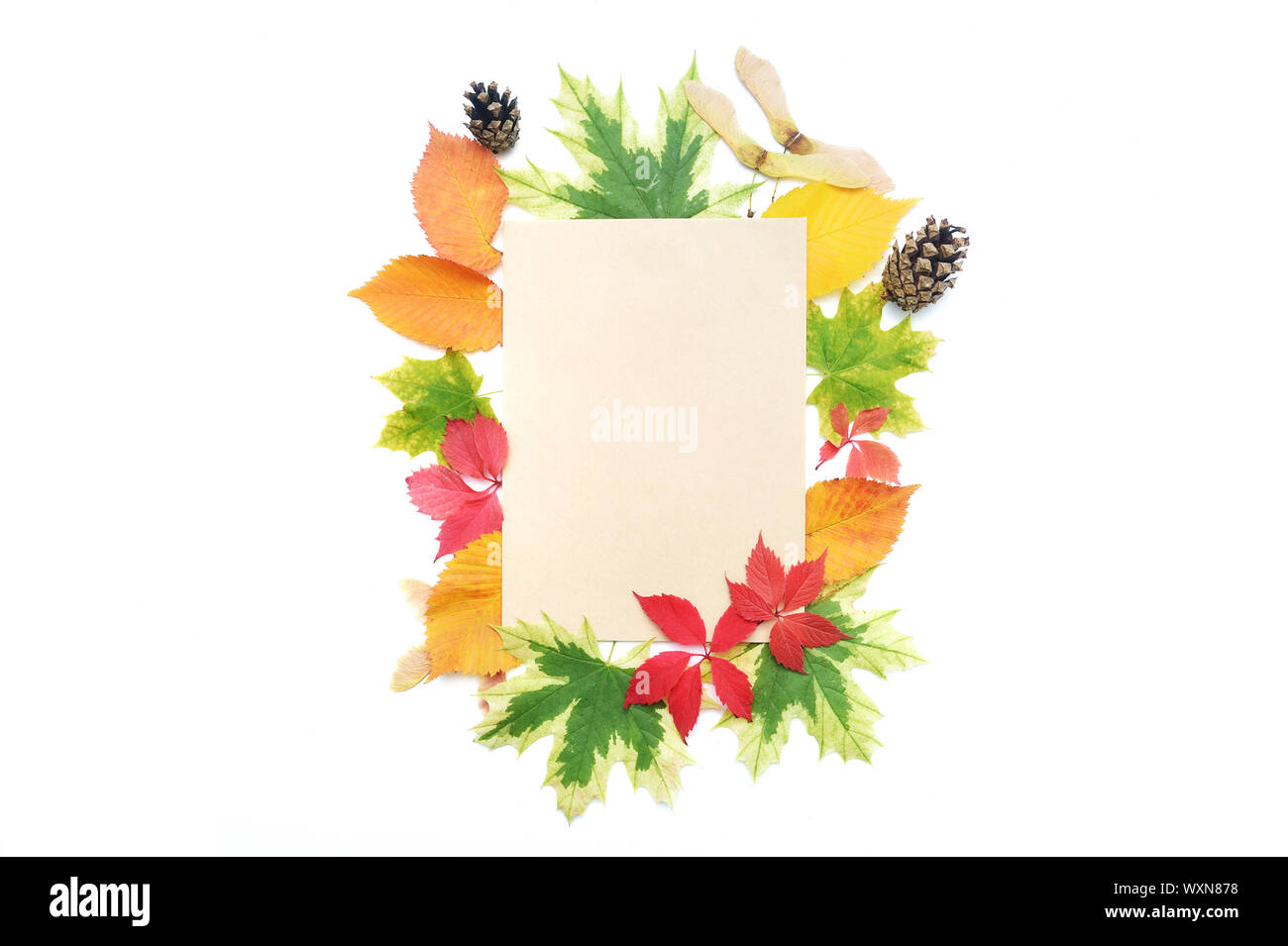 Mockup Foglie di autunno telaio e kraft foglio di carta per posizionare il testo. Elementi di caduta per il giorno del Ringraziamento design Foto Stock