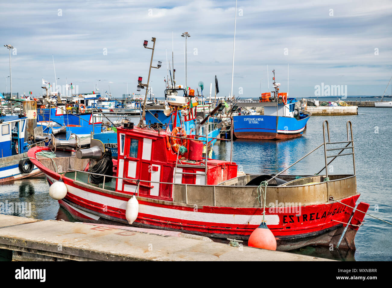 Barche da pesca a Doca dos isole Pescadores, marina nella città di Setúbal, regione Lisboa, Portogallo Foto Stock