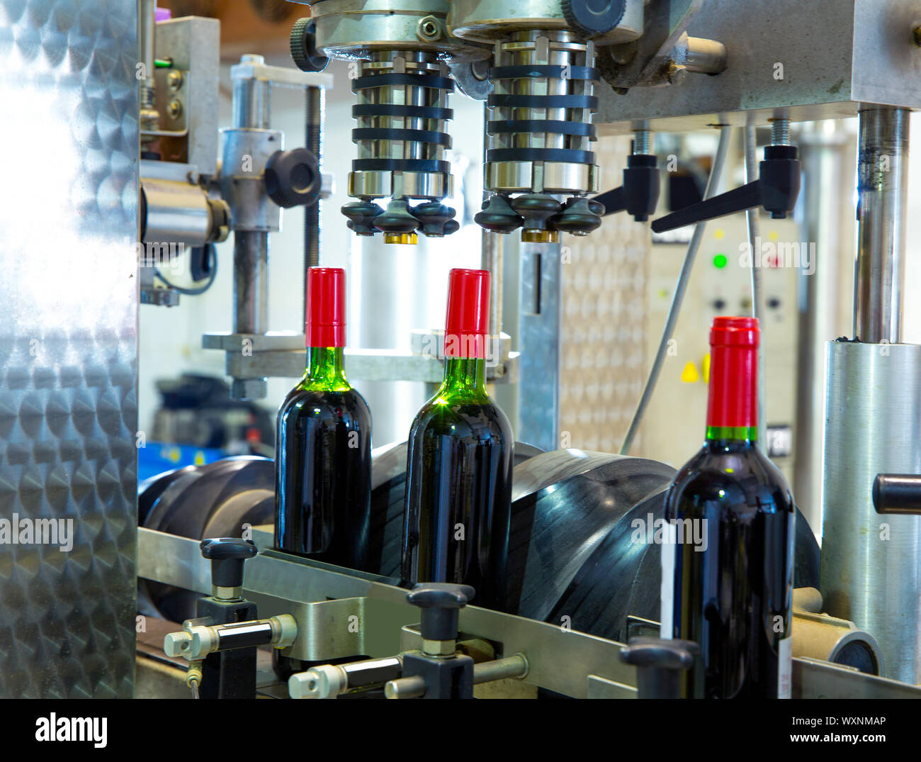 Vino rosso in vetro macchina imbottigliatrice in cantina Foto Stock