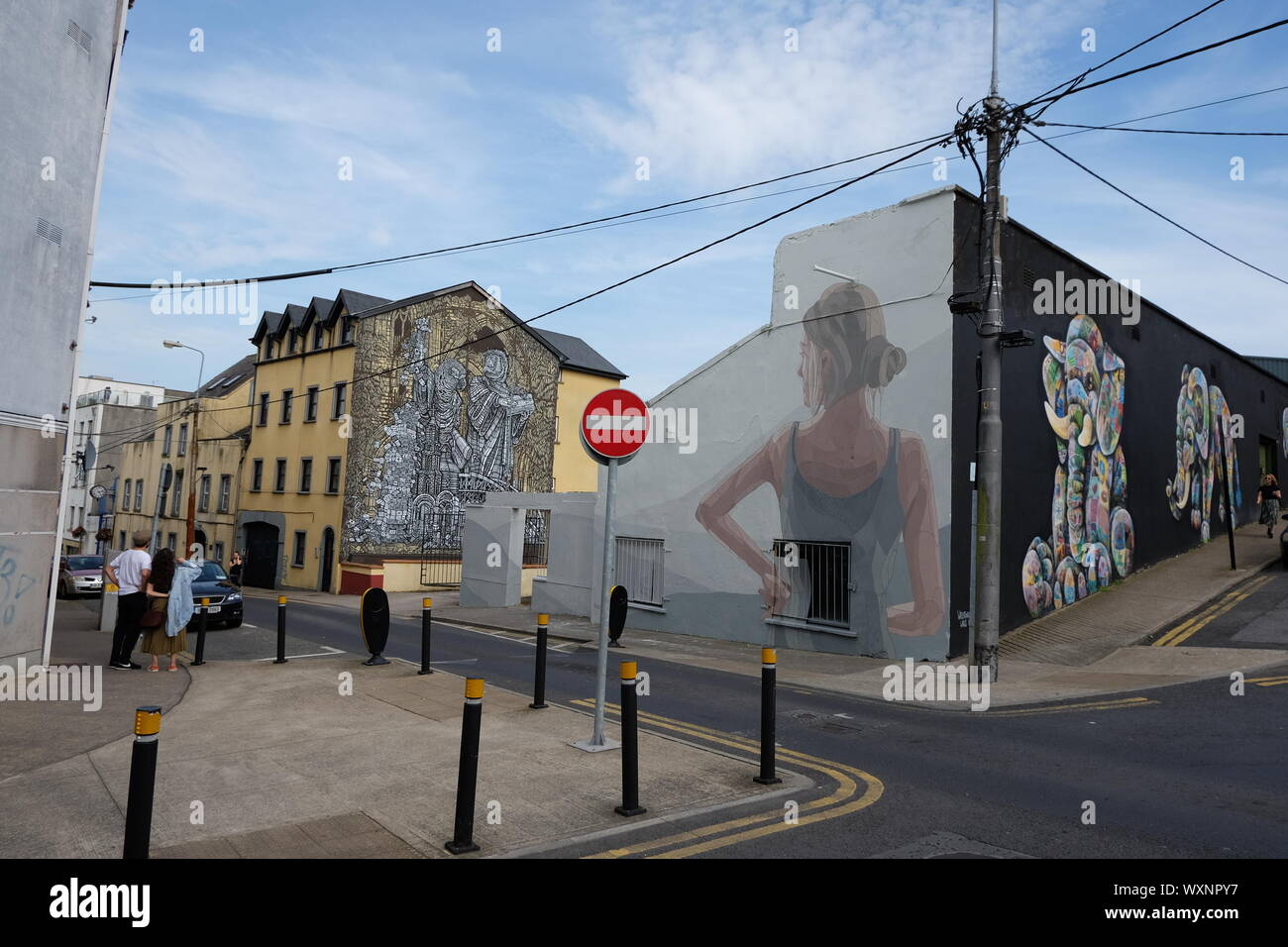 Arte di strada con più immagini di elefanti, ragazza, e macchie sul vetro pareti nella città di Waterford, Irlanda. Foto Stock