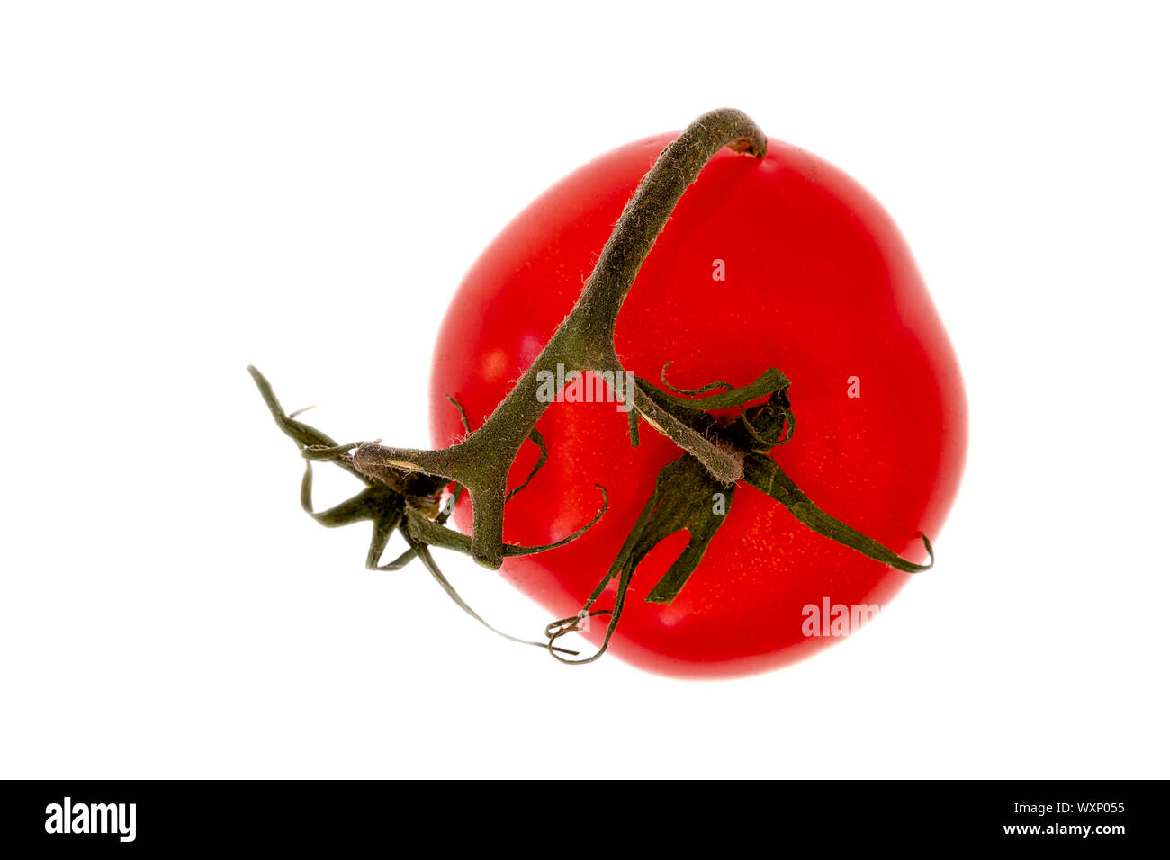 Ripe rosso pomodoro con peduncolo verde su sfondo bianco Foto Stock