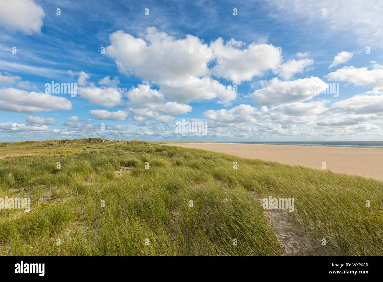 Dune e spiaggia paesaggio presso l'isola del Mare del Nord di Rømø, Danimarca Foto Stock
