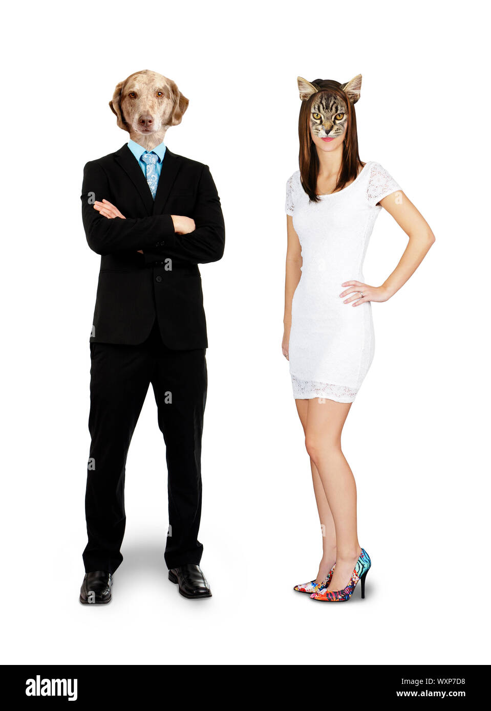 Funny composito di un gatto di donna con un cane uomo, corpo completo su bianco Foto Stock