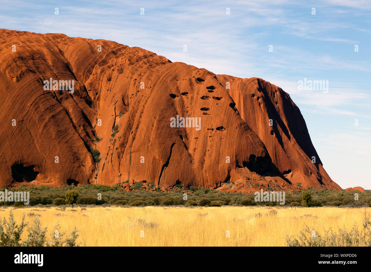 Di sera, vista ravvicinata di Uluru, nel Uluṟu-Kata Tjuṯa, il Parco Nazionale del Territorio del Nord, l'Australia Foto Stock