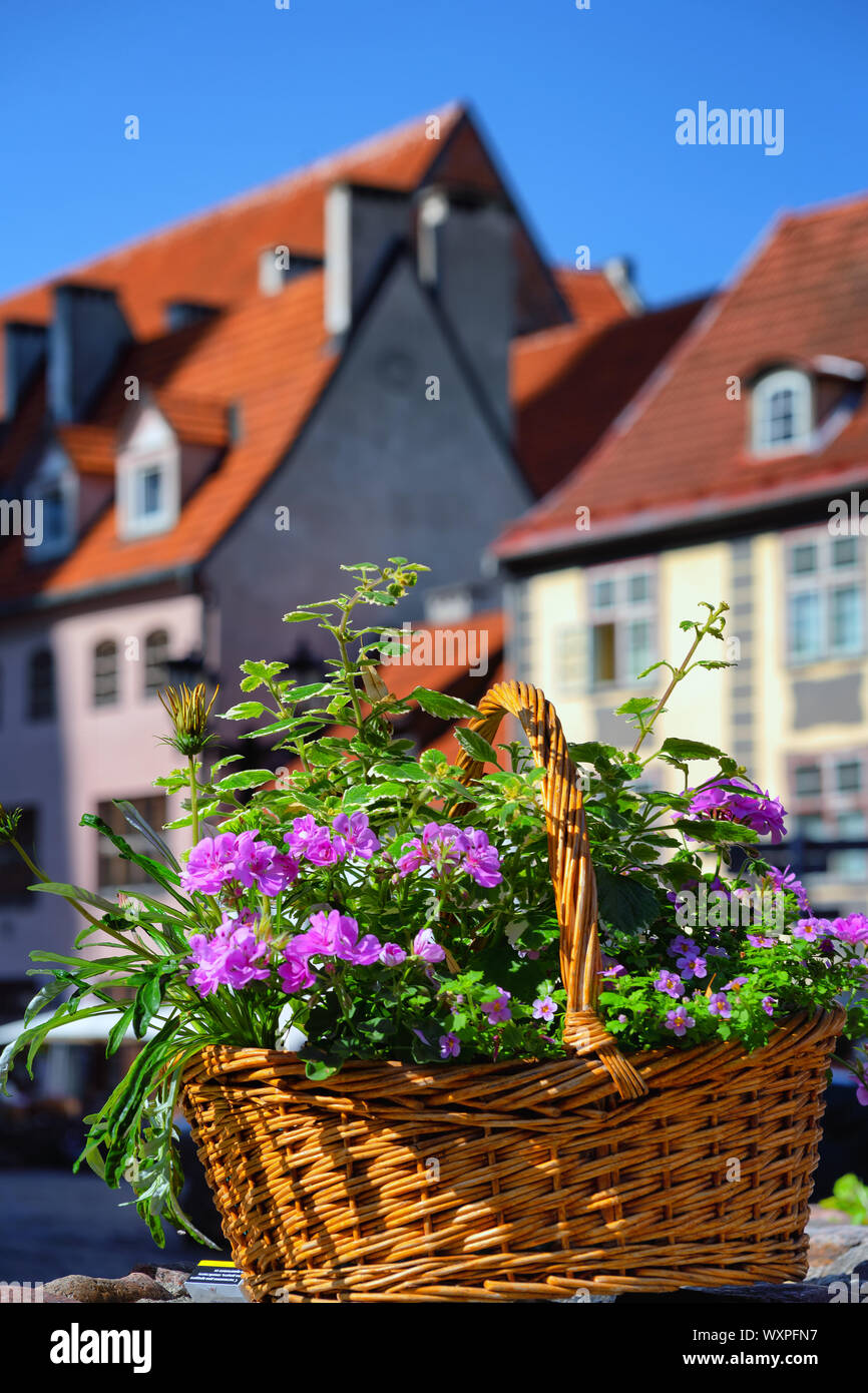 Cestino con fiori nel centro di Riga Foto Stock