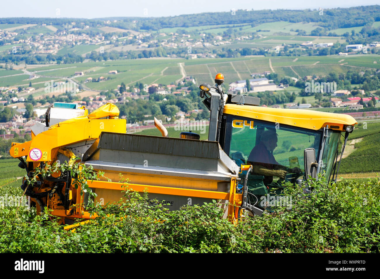 Una viticoltura la macchina a lavorare nella vigna Solutré-Pouilly, Borgogna e Saône-et-Loire, Bourgogne-Franche-Comté regione, Francia Foto Stock