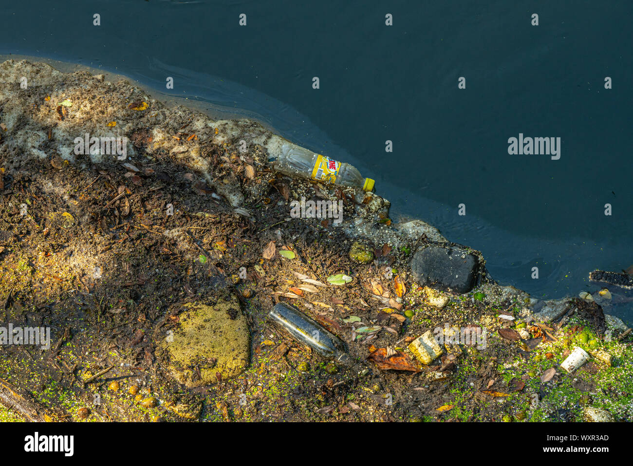 Di plastica, bottiglie, polistirene e micro plastiche in acqua di fiume Foto Stock