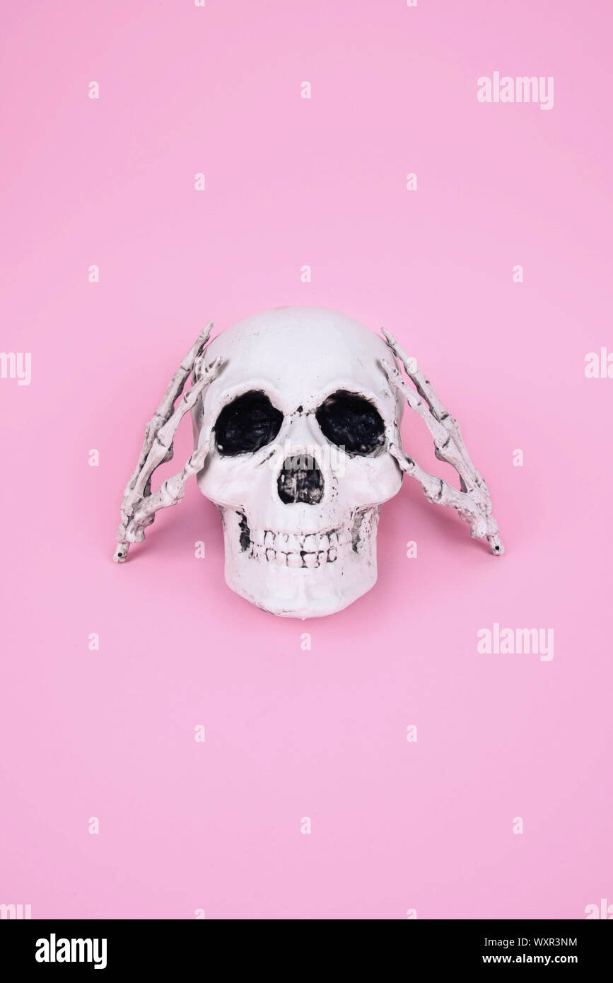Teschio sul trendy rosa pastello sfondo. Foto Stock