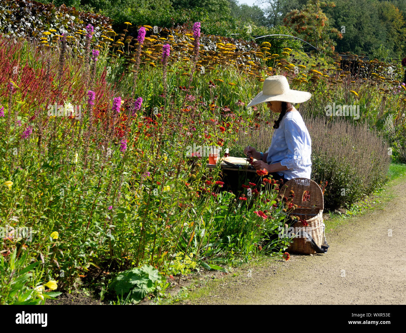 Un East Asian Lady in un grande cappello per il sole su uno sgabello pittura ad acquerello fiori colorati in Helmsley Walled Garden North Yorkshire Foto Stock
