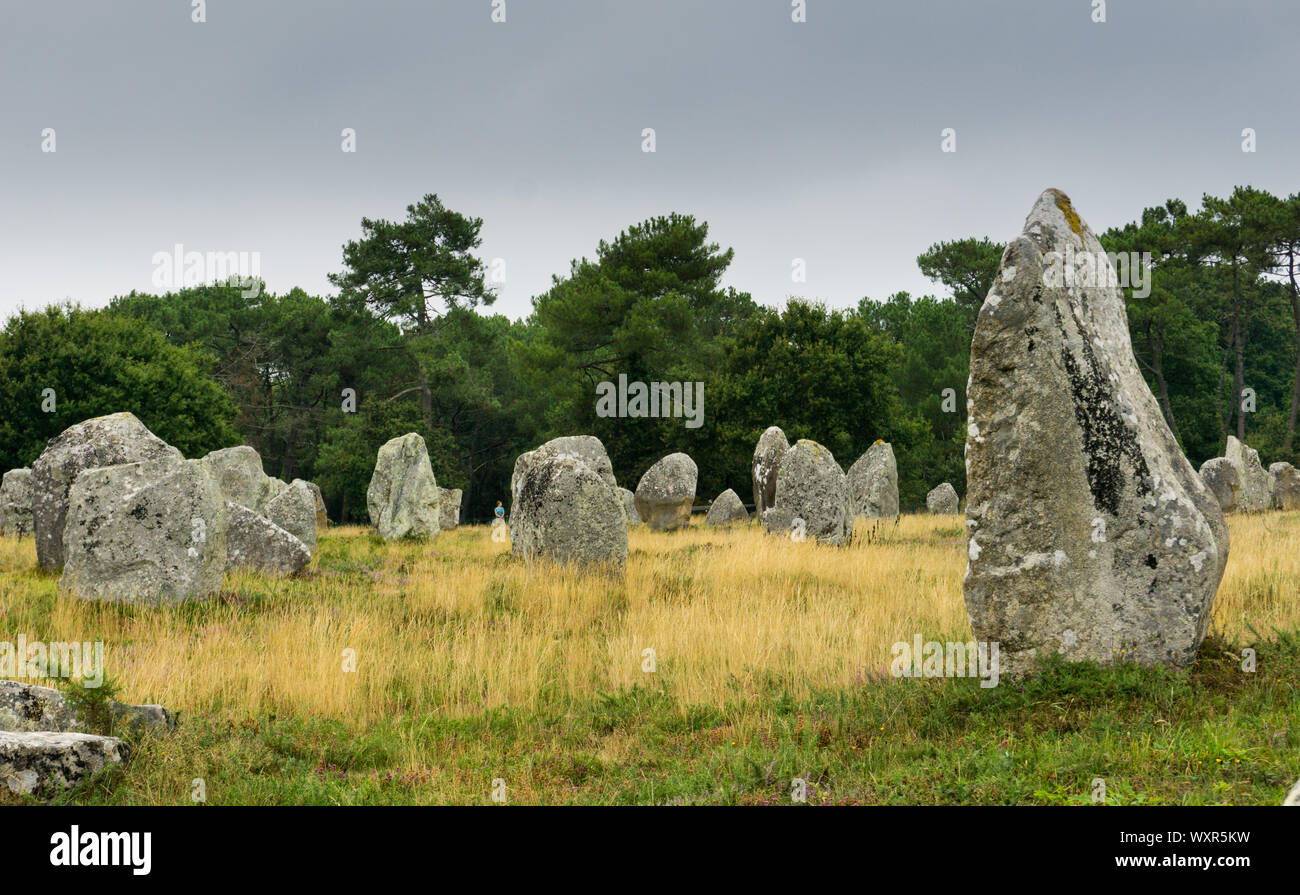 Vista del monolito preistorici allineamenti di pietra in Bretagna a Carnac Foto Stock