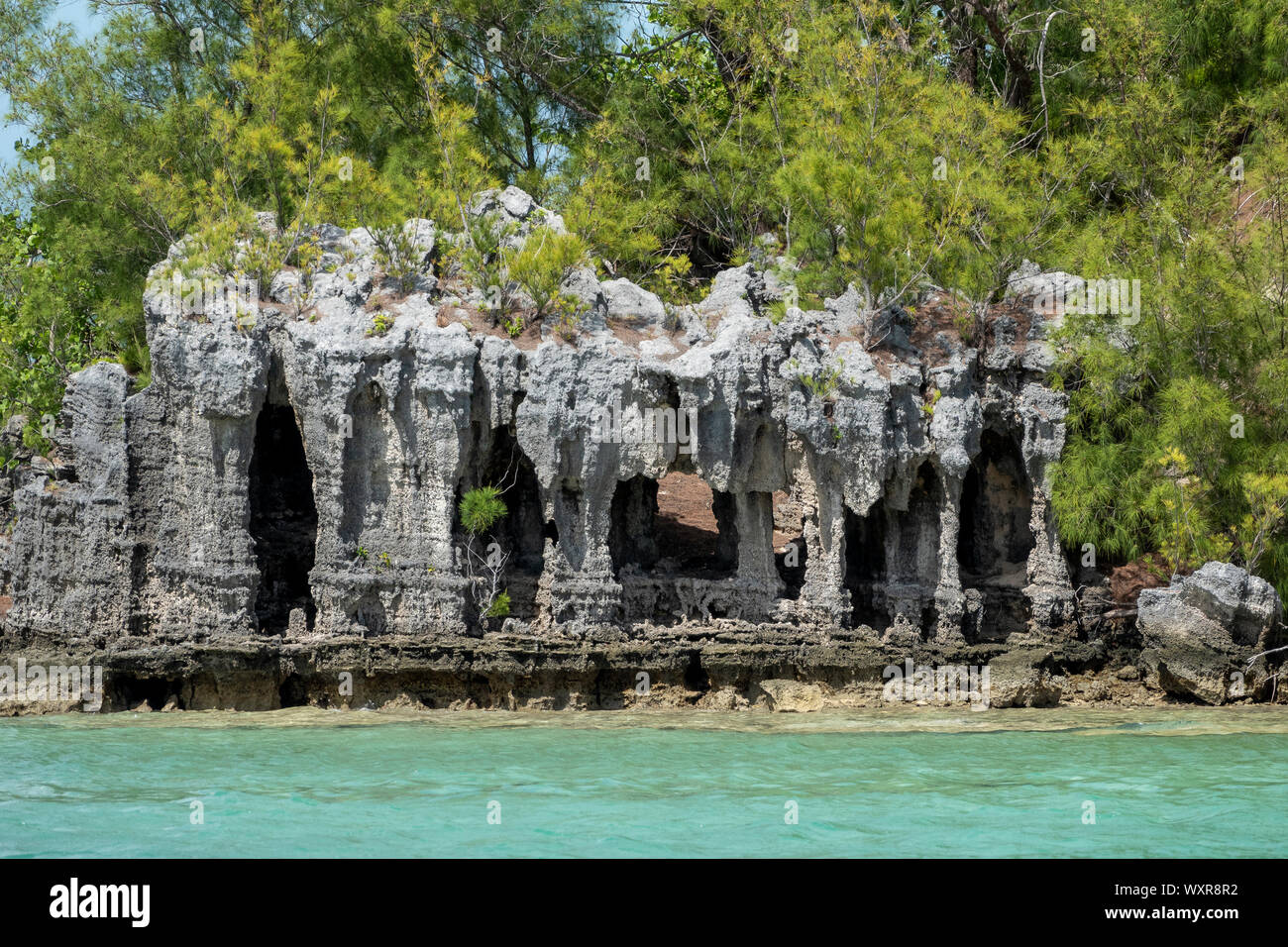 Cathedral Rocks, Sandy parrocchia, Bermuda Foto Stock