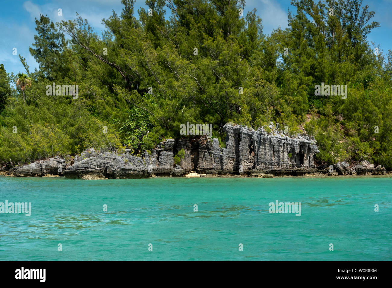 Cathedral Rocks, Sandy parrocchia, Bermuda Foto Stock