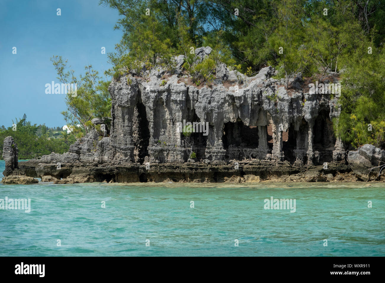 Cathedral Rocks, Sandy parrocchia, Bermuda Foto Stock