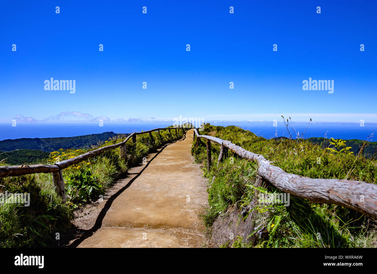 Percorso a piedi, São Miguel Island, Azzorre, Açores, del Portogallo, dell'Europa. Foto Stock
