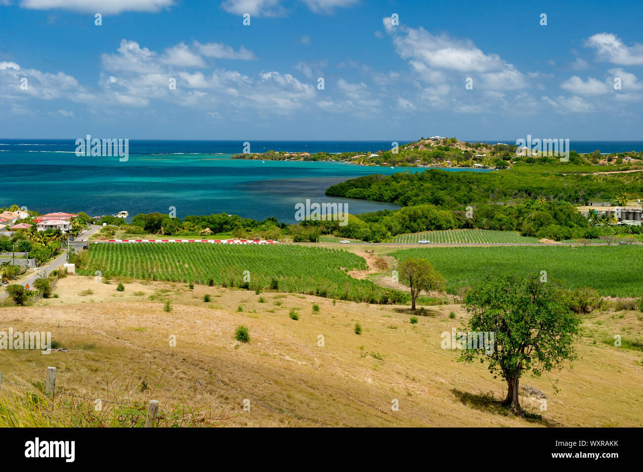 Le Francois, Martinica / 04.08.2014. Martinica, FWI - Vista Panoramica a Les Trois Ilets dalle montagne Foto Stock