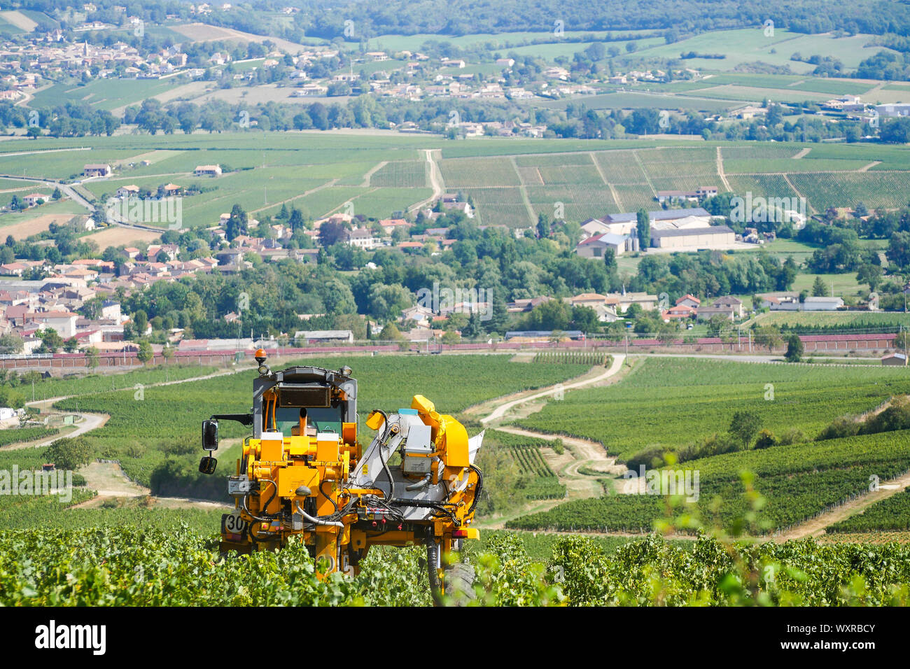 Una viticoltura la macchina a lavorare nella vigna Solutré-Pouilly, Borgogna e Saône-et-Loire, Bourgogne-Franche-Comté regione, Francia Foto Stock