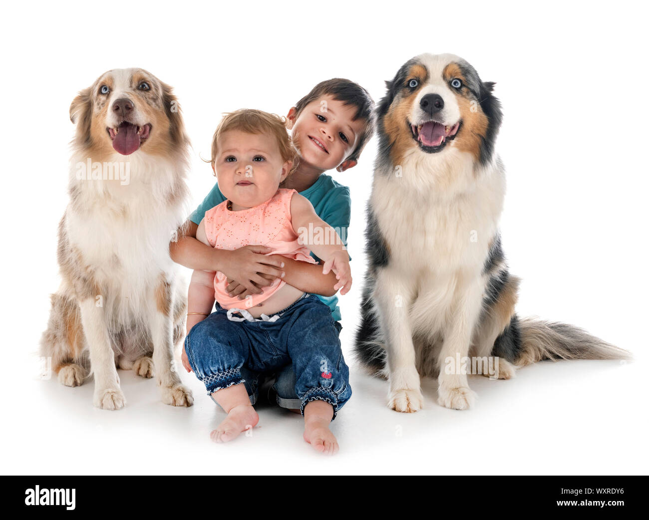 Bambini e cani in font di sfondo bianco Foto Stock