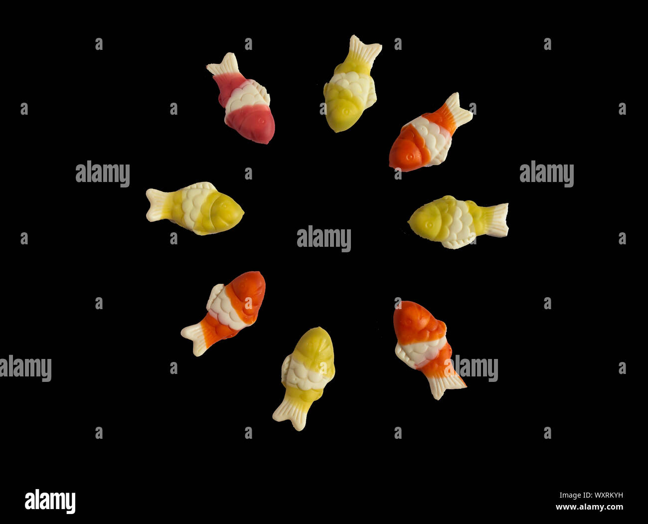 Pesce. Vettore di pesci di mare isolato su sfondo bianco. icona o logo. Pesce tropicale. Tipo di pesce Cartoon sorridente. spazio copia Foto Stock