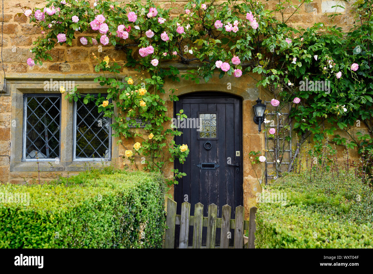Storico cottage con tetto in paglia in grande Tew villaggio con rosa rampicante su giallo cotswold stone Oxfordshire Inghilterra Foto Stock
