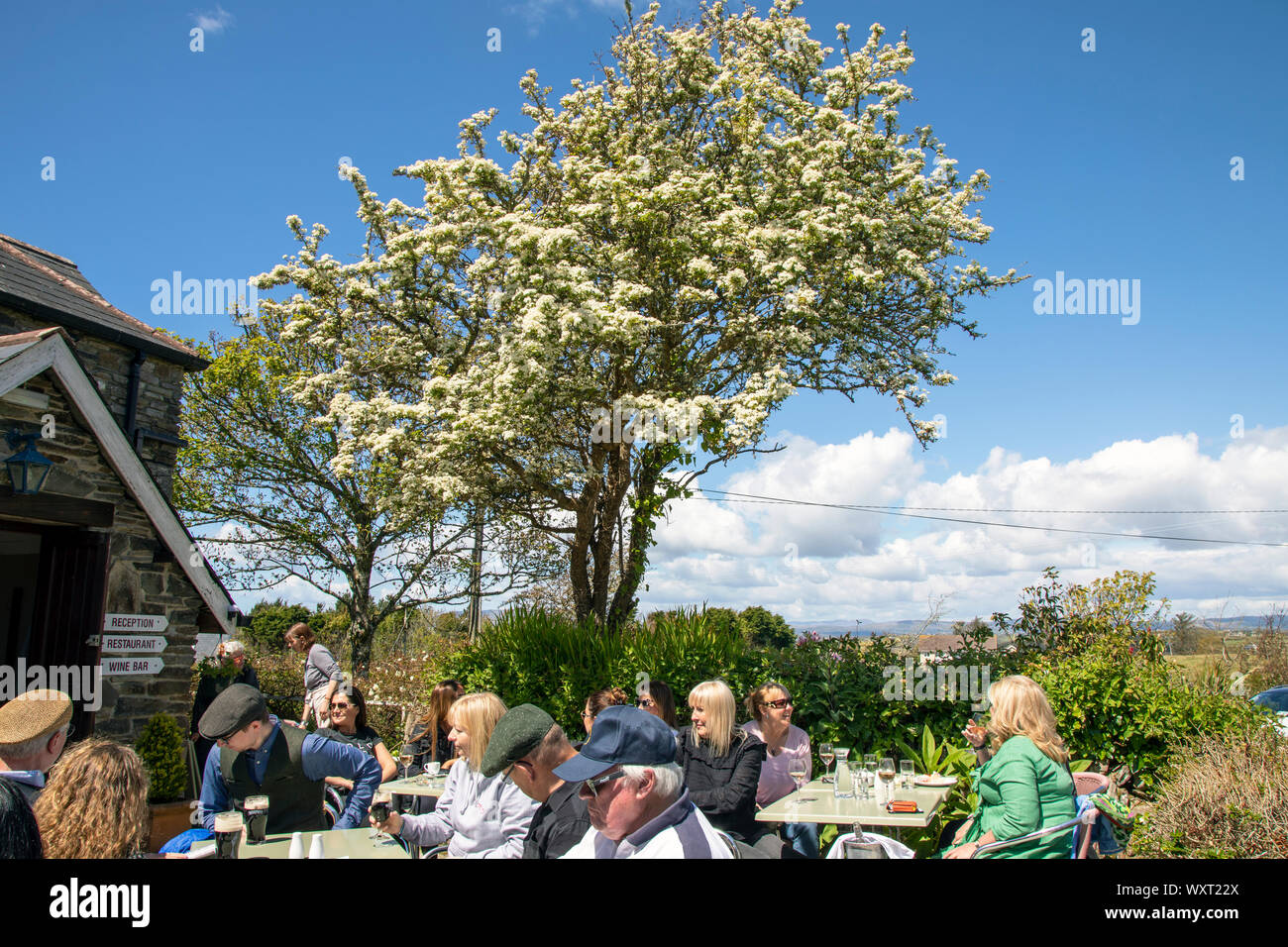 Baltimore Fiddle Fair sessione pomeridiana Rolfs Hostel Foto Stock