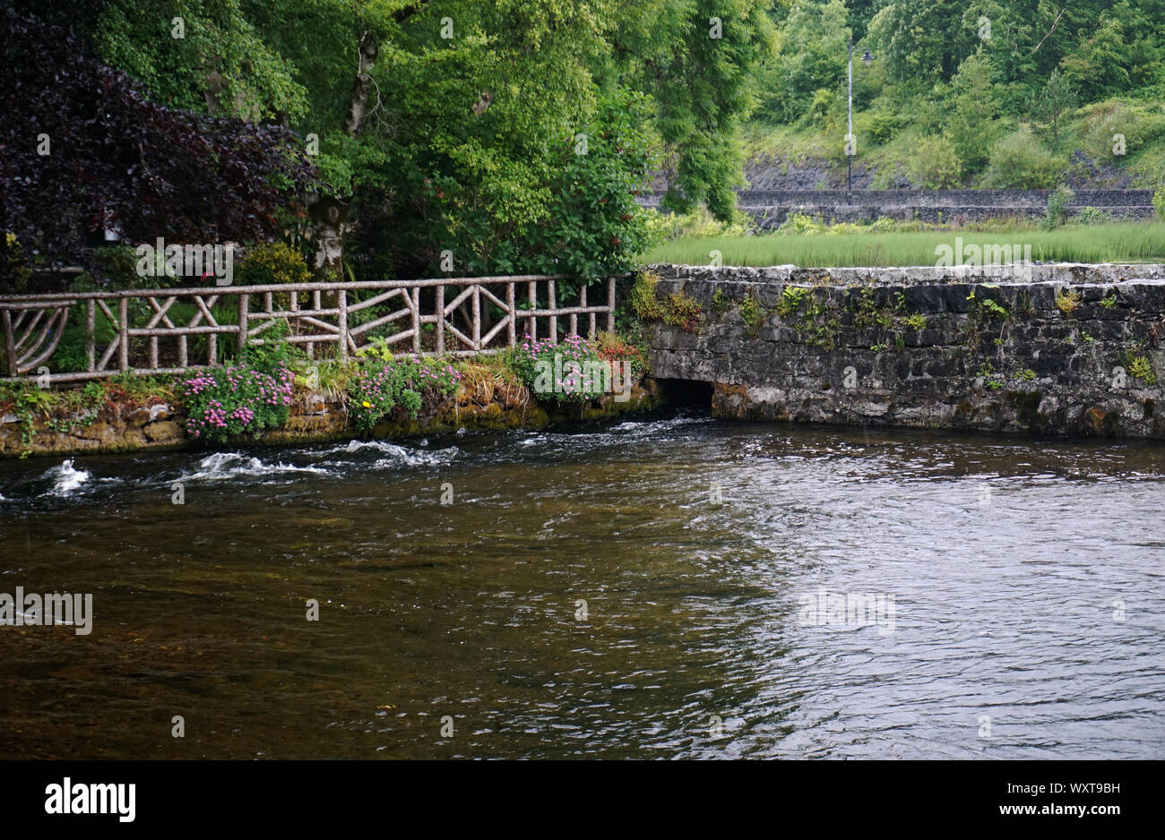 Piscina con recinto di roccia, di fiori e di recinzione di legno IN CONG IRLANDA Foto Stock