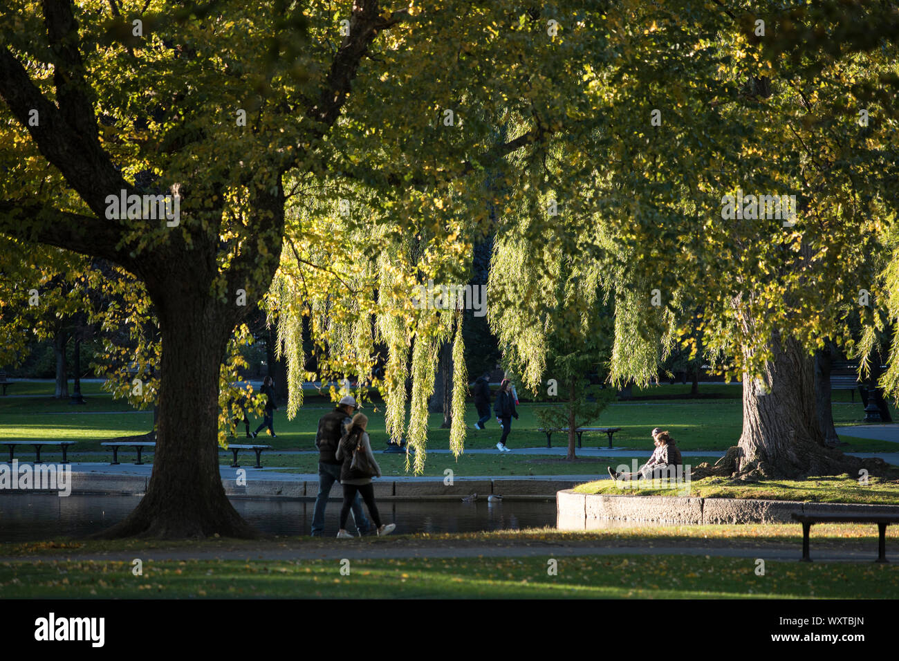 Coppia da parte del Lago nel giardino pubblico di Boston, Massachusetts, STATI UNITI D'AMERICA Foto Stock