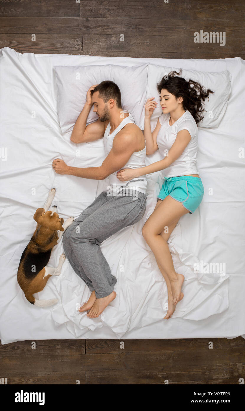 Coppia giovane relax sul letto vista superiore con un cane dorme Foto Stock