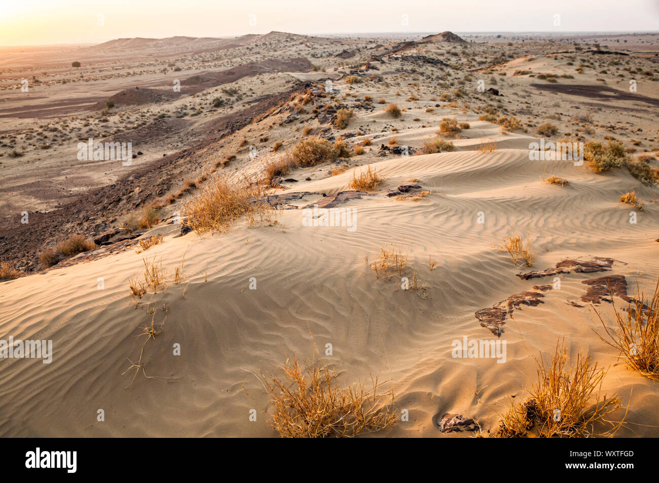 Rocky dune di sabbia a sunrise nel deserto di Thar di Rajasthan orientale, India. Foto Stock