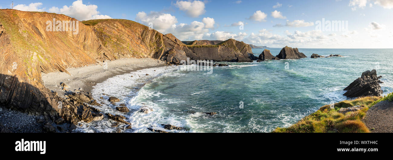 Robusto litorale atlantico a Hartland Quay, Devon, Inghilterra Foto Stock