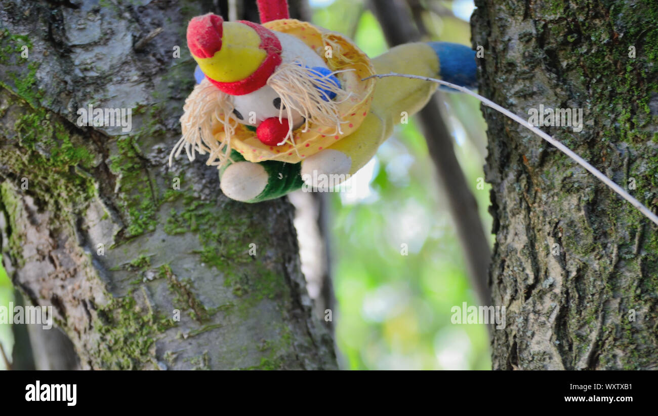 Farcite colorati clown giocattolo appeso a un albero Foto Stock
