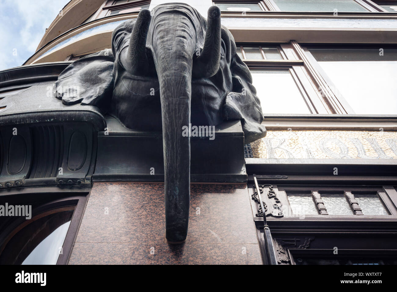 Leipzig Germania - 11 Luglio 2018 - Vista dal basso verso l'alto sulla testa di un elefante presso il Cafe Riquet a Leipzig Foto Stock