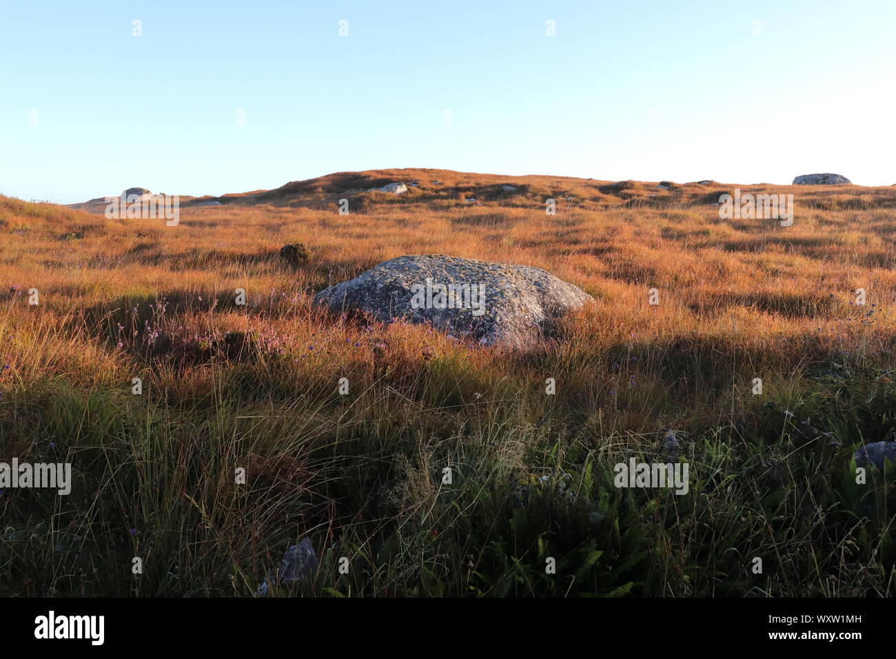Bellissimo paesaggio irlandese da Connemara bog terre con colori autunnali Foto Stock