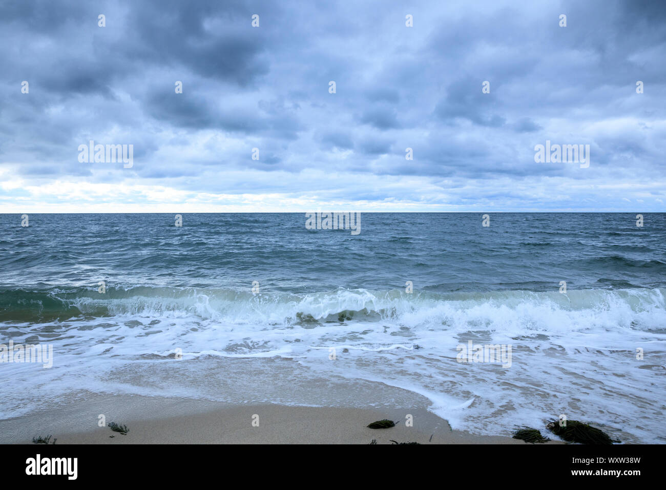 Affacciato su Nantucket Sound, Oceano Atlantico, a Harding rive, Cape Cod, New England, STATI UNITI D'AMERICA Foto Stock