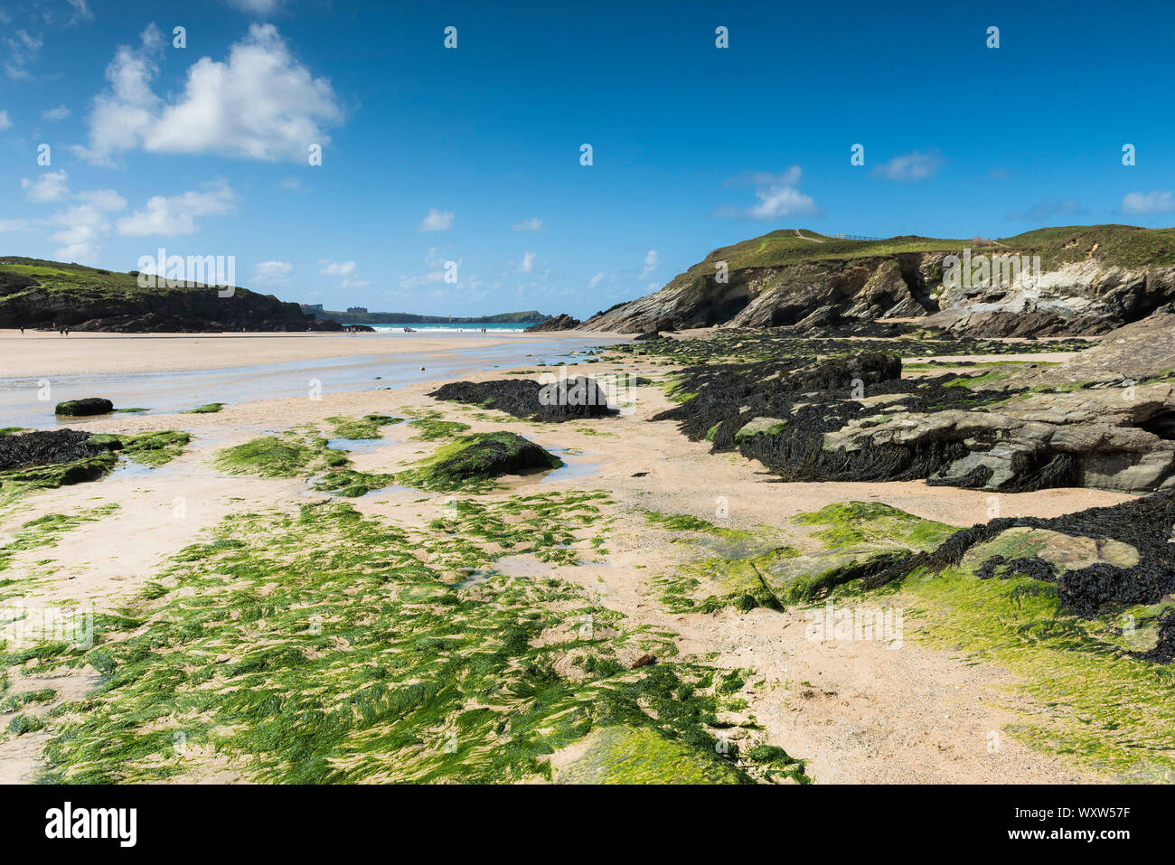 Tarda estate tempo soleggiato e un molto bassa marea a Porth Beach in Newquay in Cornovaglia. Foto Stock