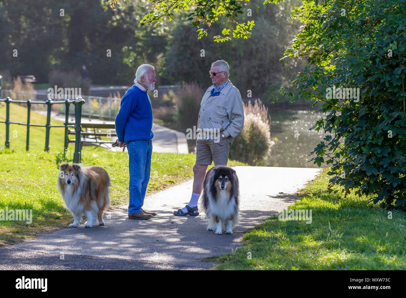 Northampton, Regno Unito, meteo. 18 settembre 2019. Abington Park. Sole brillante con temperature più basse di questa mattina, un paio di cane maschio walkers avente una chat in piedi in ombra mentre il loro cane, Border Collies attendere pazientemente vicino per continuare lì a piedi. Credito: Keith J Smith./Alamy Live News Foto Stock