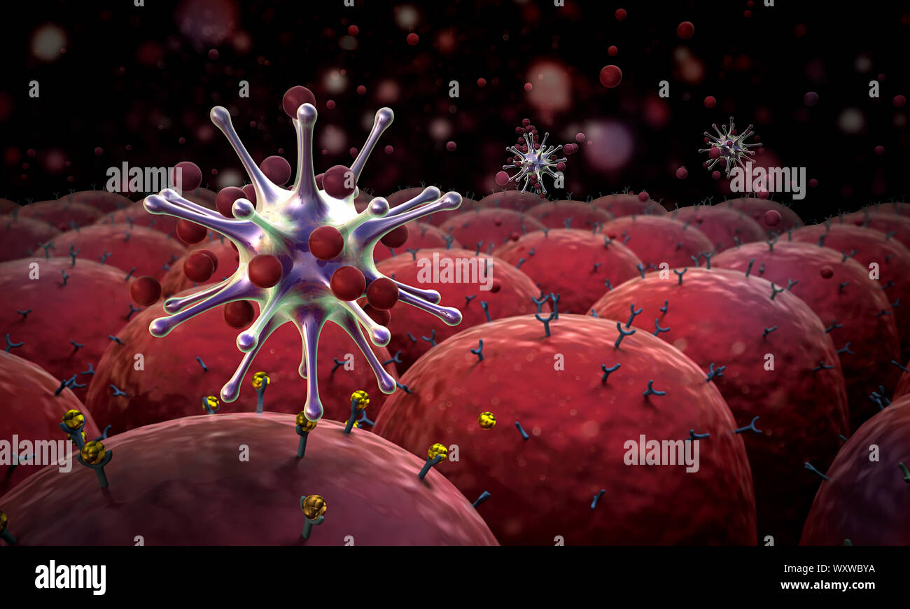 Campo delle celle, campo di cellule con recettori, sistema immunitario umano l'attacco di virus Foto Stock
